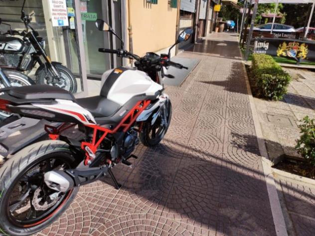 BENELLI BN 125 EURO 5 - NUOVO MODELLO 2025 - FINANZIABILE rif. 23992625 - Foto 4