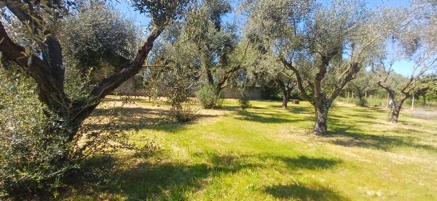 Bellissimo terreno - Foto 4