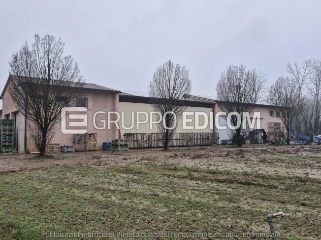 Fabbricati per attività agricole in vendita a Morgano - Rif. 4554118 - Foto 4