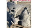 Rocce pietra monolitiche ornamentali decorative da giardino