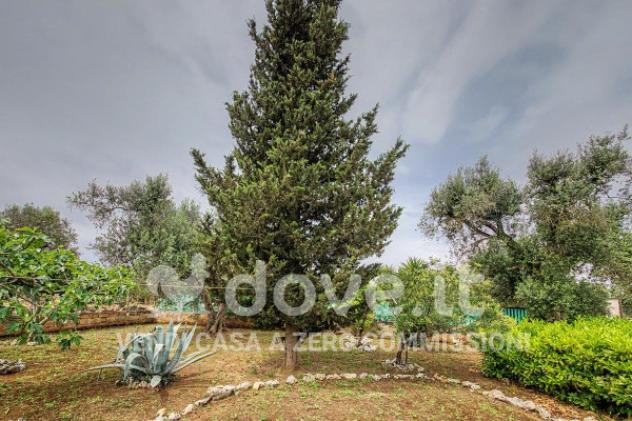 Villa di 70 m² con 3 locali in vendita a Francavilla Fontana - Foto 20