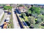 CASALE e Ulivi in Maremma