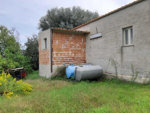 Uliveto in vendita a Siracusa - Foto 10