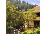 Agriturismo Castiglione