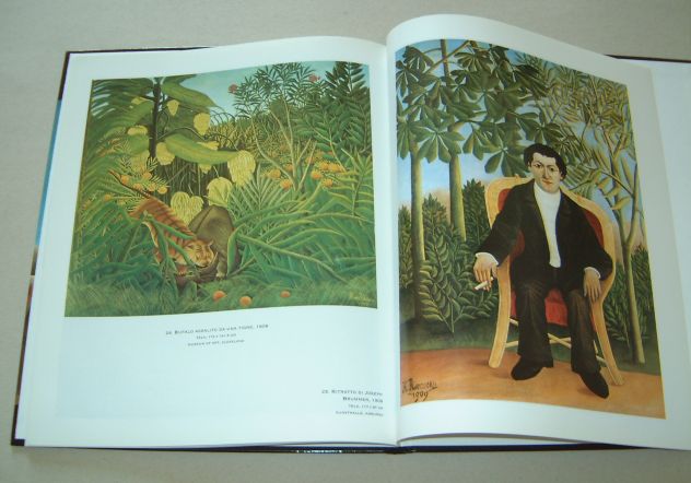 Rousseau - Un primitivo a Parigi - Foto 10