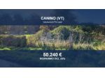 Immobile in asta di 66370 m² in vendita a Canino