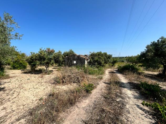 Terreno in vendita a Noto - Foto 5