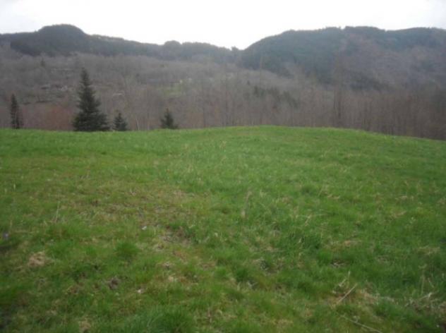 Immobile in asta di 9468 m² in vendita a Pievepelago - Foto 6