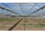 Cerco terreno o serre agricole da coltivare