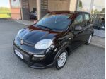 Fiat Panda 1.0 FireFly S&S Hybrid Pandina