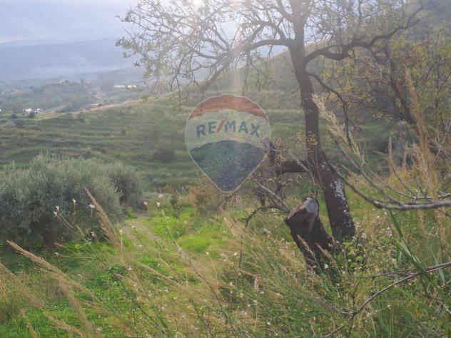 Terreno in vendita a Calatabiano - Foto 7