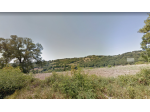 Azienda agricola in vendita a Capalbio 80000 mq  Rif: 1014858