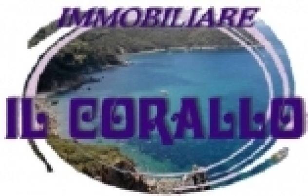 Immobile commerciale