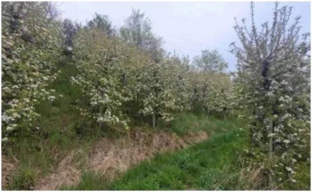 Immobile in asta di 9480 m² in vendita a Malles Venosta - Foto 2