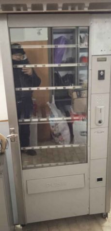 Distributori/caldo-freddo - Foto 3