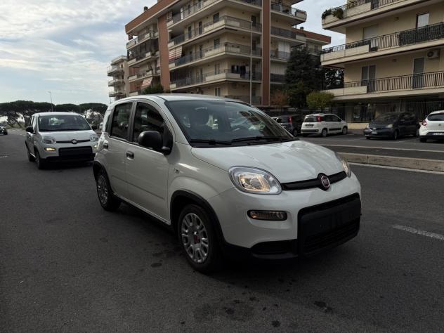 Fiat Panda 1.0 FireFly S&S Hybrid City Life LED PD BLUETOOTH - Foto 2