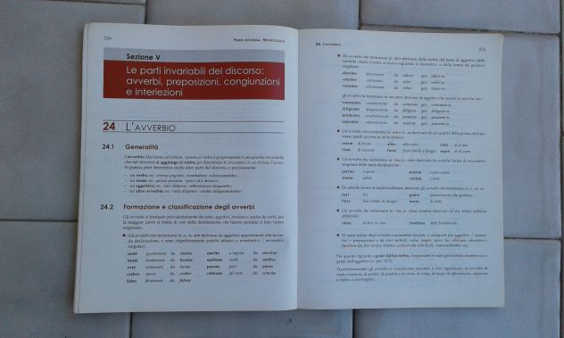 LEZIONI DI LATINO - Foto 4