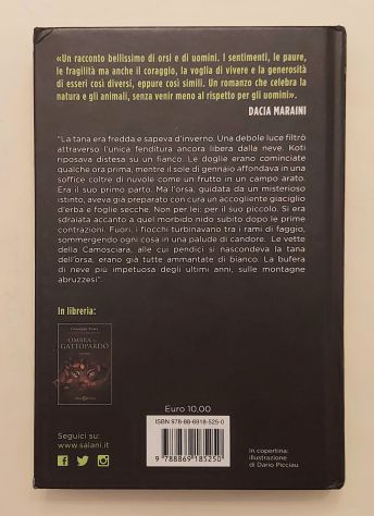 Il passaggio dell'orso di Giuseppe Festa Salani Editore, marzo 2015 - Foto 3