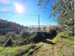 TERRENO AGRICOLO CON RICOVERO ATTREZZI