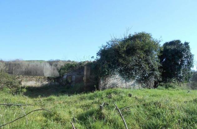Colonica in vendita a Asciano 1352 mq Rif: 751134 - Foto 8