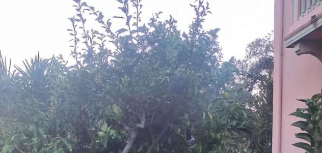 Immobile in asta di 384 m² con più di 5 locali in vendita a Viareggio - Foto 4