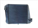 810100 RADIATORE ACQUA JDM X5 ORANE TITANE I II III ALBIZIA ABACA