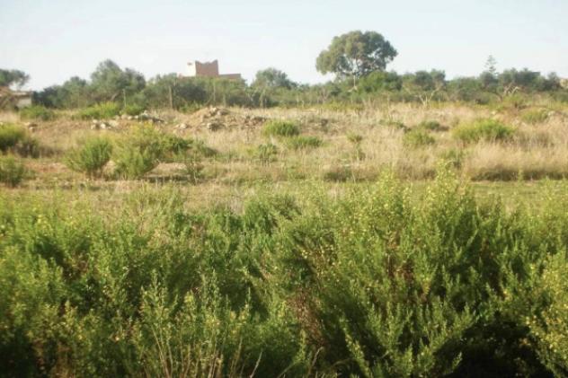 Immobile in asta di 9960 m² in vendita a Marsala - Foto 3