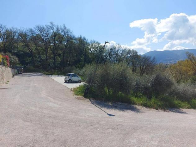 Immobile in asta di 2300 m² in vendita a Spoleto - Foto 2