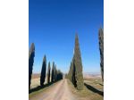 Appartamento 3 locali - Rif. V822