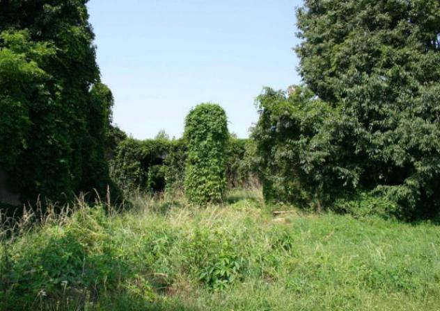 Immobile in asta di 6975 m² in vendita a Vellezzo Bellini - Foto 5