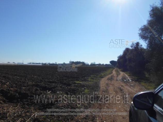 IMMOBILI-ALTRA CATEGORIA-Prati di Coppola, Latina - Foto 4