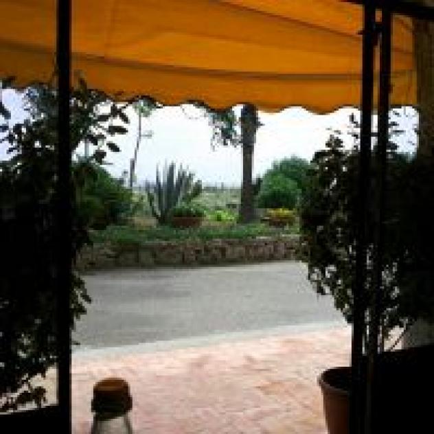 Lupo' Francesca - Foto 4