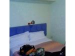 Bed And Breakfast Il Bassotto