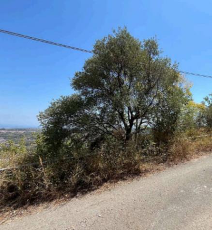 Immobile in asta di 920 m² in vendita a Merì - Foto 6