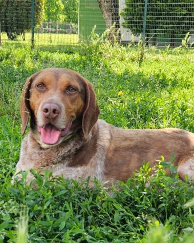 Arthur - Foto 2