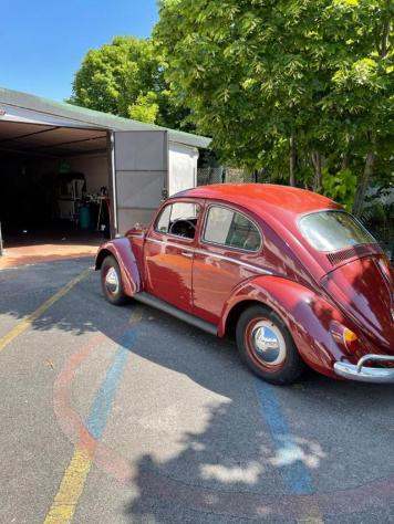 VOLKSWAGEN Maggiolino Maggiolino rif. 22872515 - Foto 3