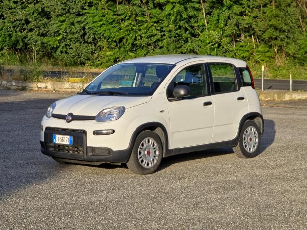 Fiat Panda 1.0 FireFly S&S Hybrid CV-69 E6 Manuale NEO 2024 - Foto 3