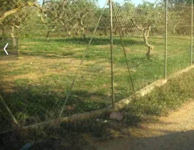 Immobile in asta di 4945 m² in vendita a Marsala - Foto 8