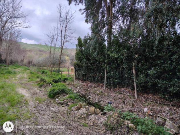 Immobile in asta di 22865 m² in vendita a Teramo - Foto 4