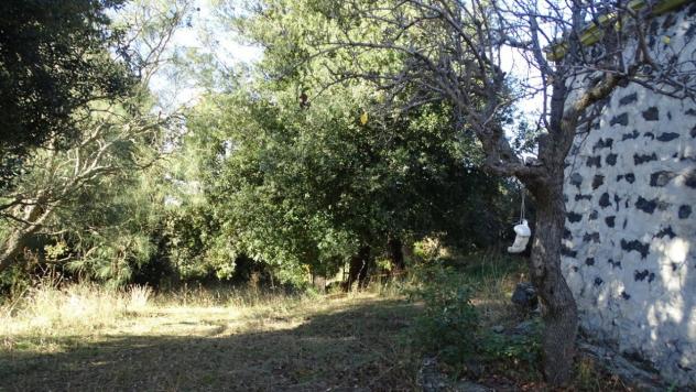 Area verde in vendita a Biancavilla - Foto 3
