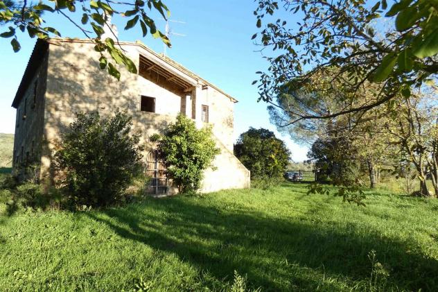 Rustico casale in Vendita in zona MONTEMASSI con giardino - Foto 4