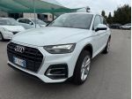 Audi Q5 40 TDI 204 CV quattro S tronic Business Advanced