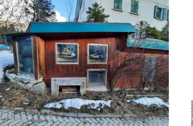 Immobile in asta di 119 m² in vendita a Madesimo - Foto 4