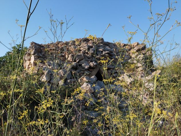 Terreno di circa 8.000 mq con trullo nelle campagne di Alezio