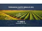Immobile in asta di 11430 m² in vendita a Terranova Sappo Minulio