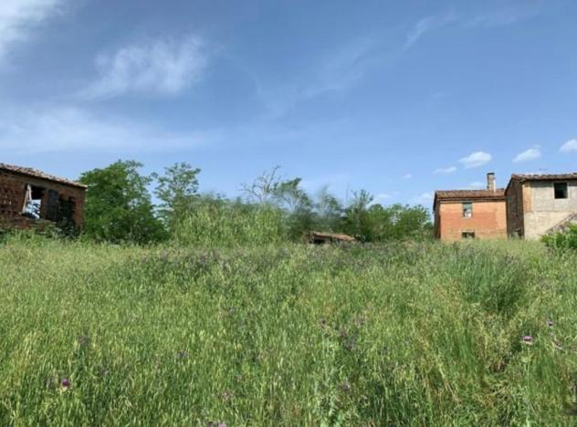 Colonica in vendita a Asciano 7000 mq Rif: 1284165 - Foto 8