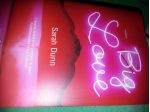 Big Love romanzo