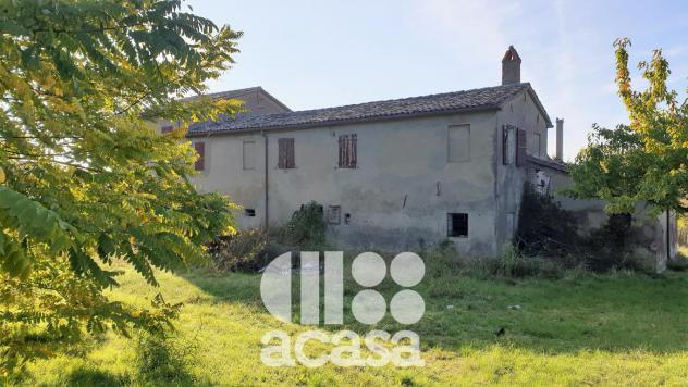 CASA COLONICA CON ATTREZZAIA - Foto 7