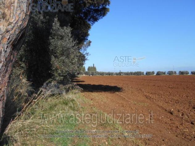 IMMOBILI-ALTRA CATEGORIA-Prati di Coppola, Latina - Foto 2