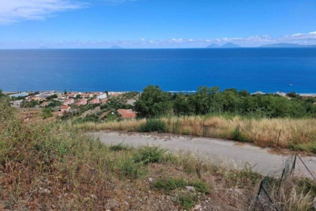 Immobile in asta di 5431 m² in vendita a Piraino - Foto 9